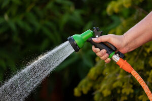 watering the garden with quality water