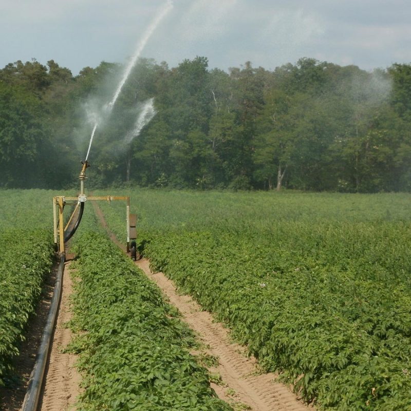 Natural and innovative solutions : quality water for livestock and crops